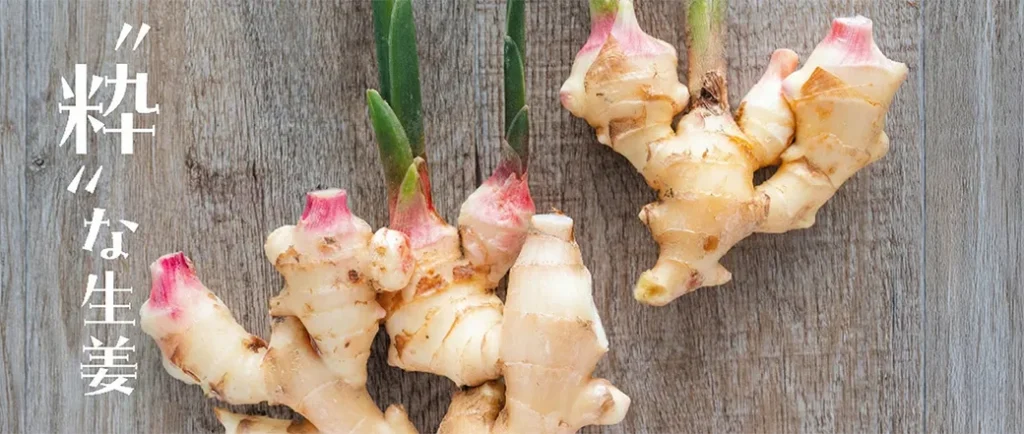 粋な生姜